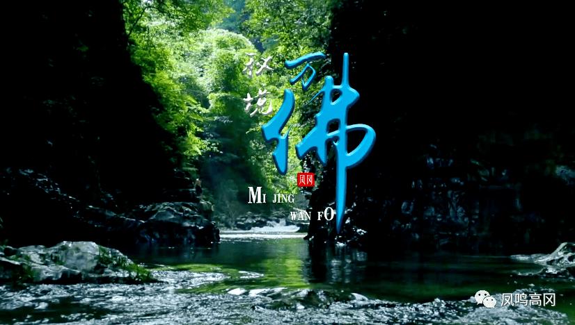 逃离白鸽之森