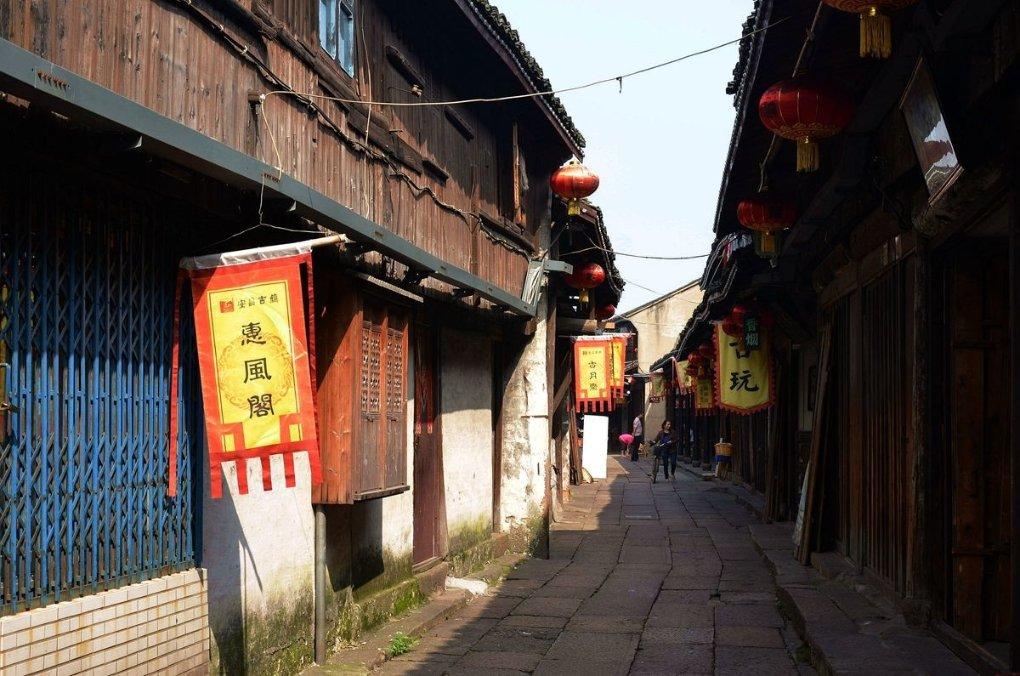 家有宠物不想养了怎么办？你会弃养宠物吗？游戏画面